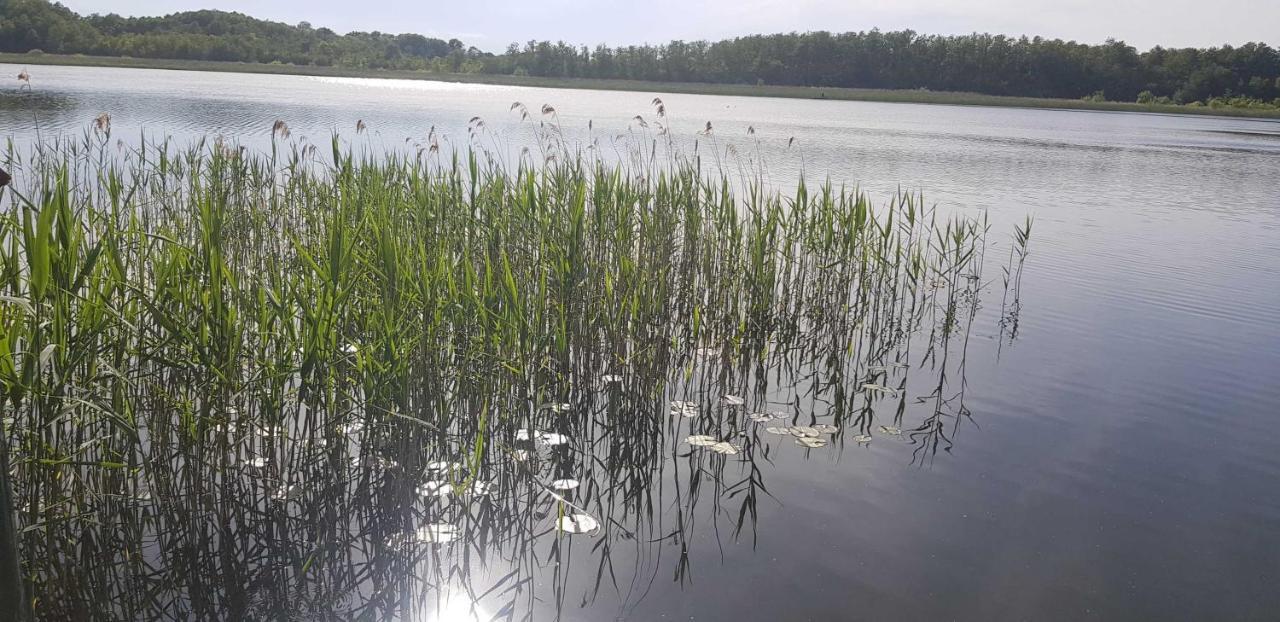 Ferienresidenz Naturoase Krakow am See Kültér fotó