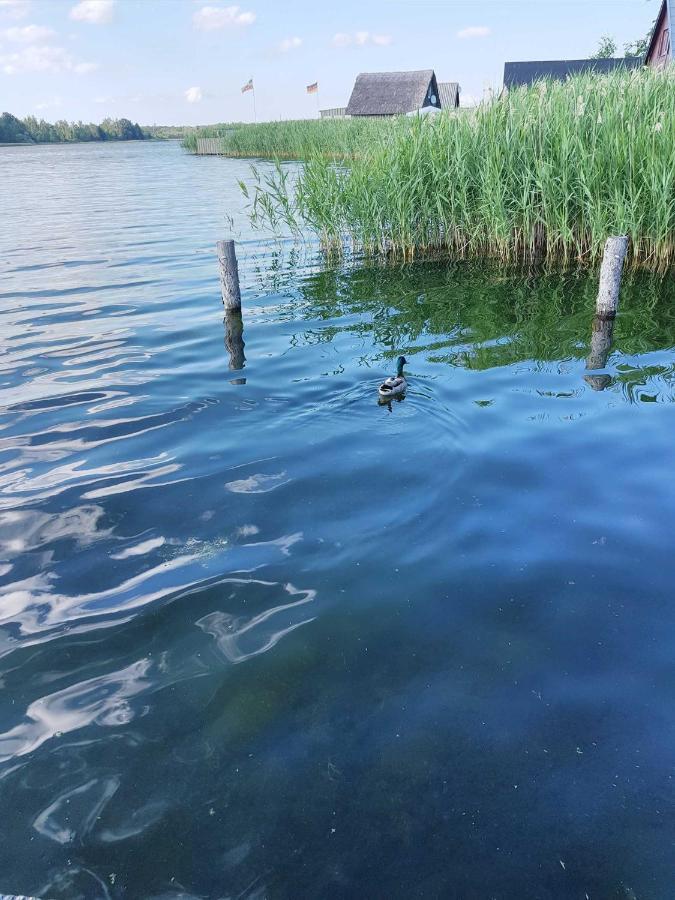 Ferienresidenz Naturoase Krakow am See Kültér fotó