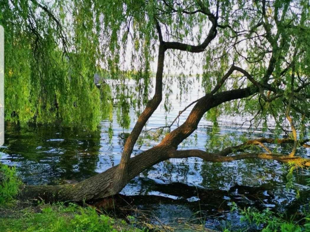 Ferienresidenz Naturoase Krakow am See Kültér fotó
